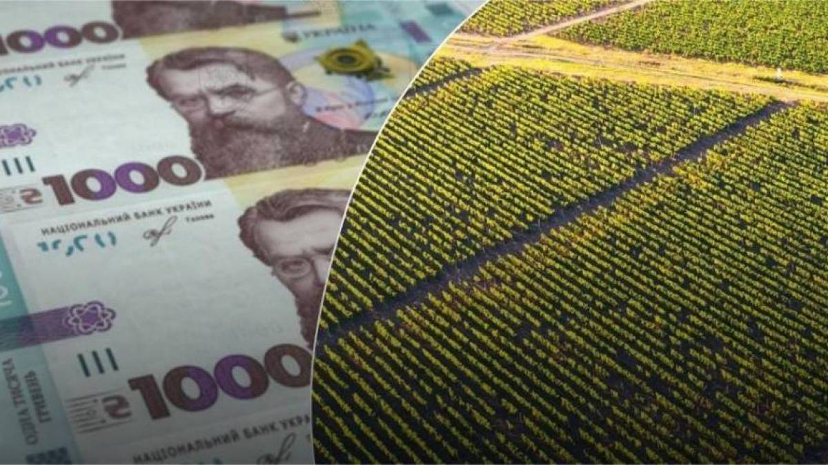 У Запоріжжі суд повернув громаді міста ділянку біля Дніпра