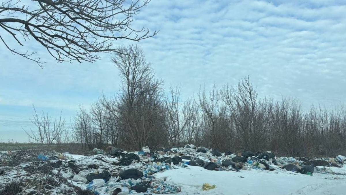 У селі Новогупалівка зафіксовано масштабне засмічення території