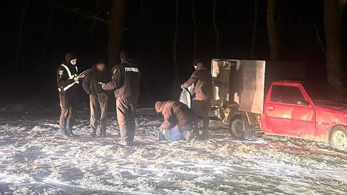 На Запоріжжі чорні лісоруби знищили 158 дерев
