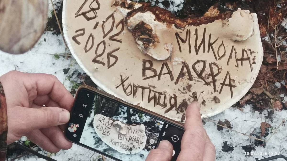Хортиця між снігом та дощем: подорож 18 лютого