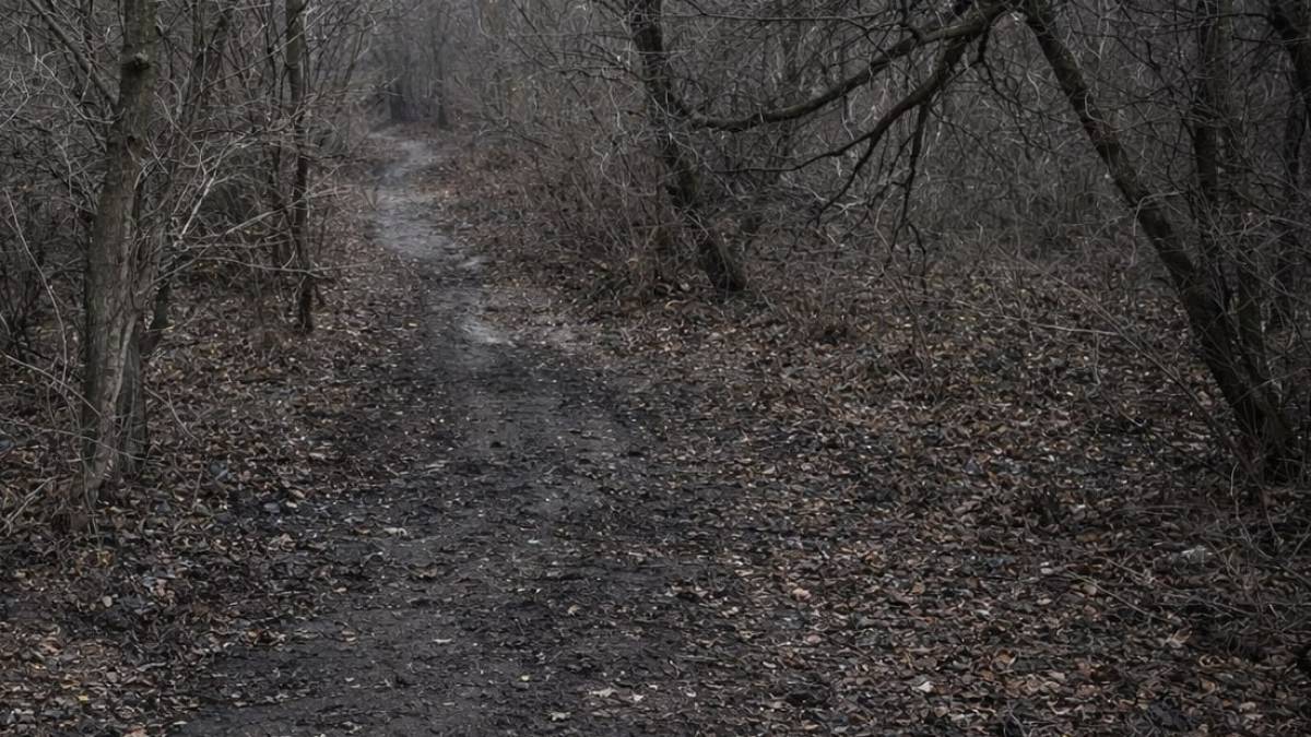 У Запоріжжі ліквідували масштабне сміттєзвалище у балці Попівка