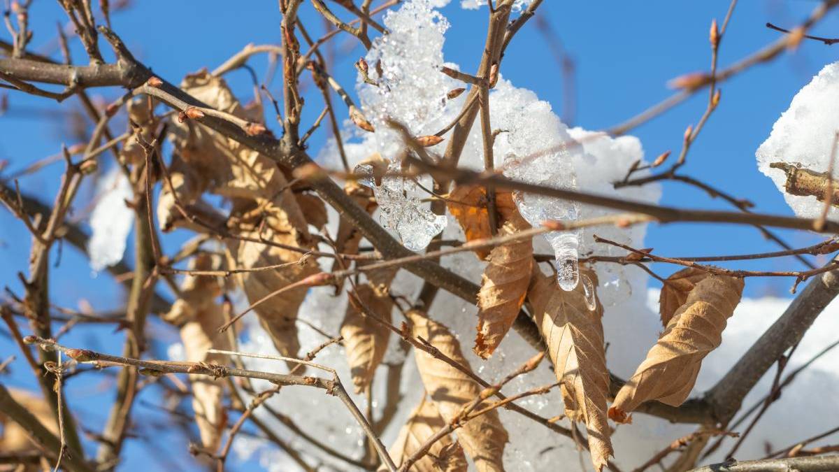 В Україні у неділю переважно без опадів, на дорогах ожеледиця