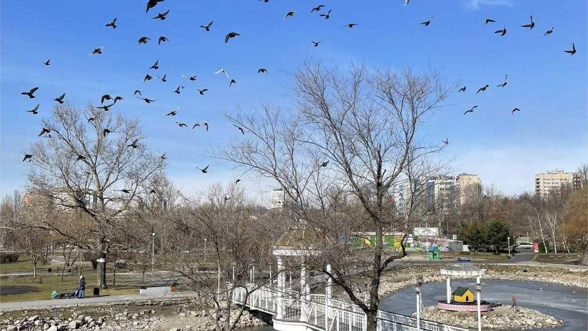 Погода у Запоріжжі 23-25 лютого – детальний прогноз синоптиків