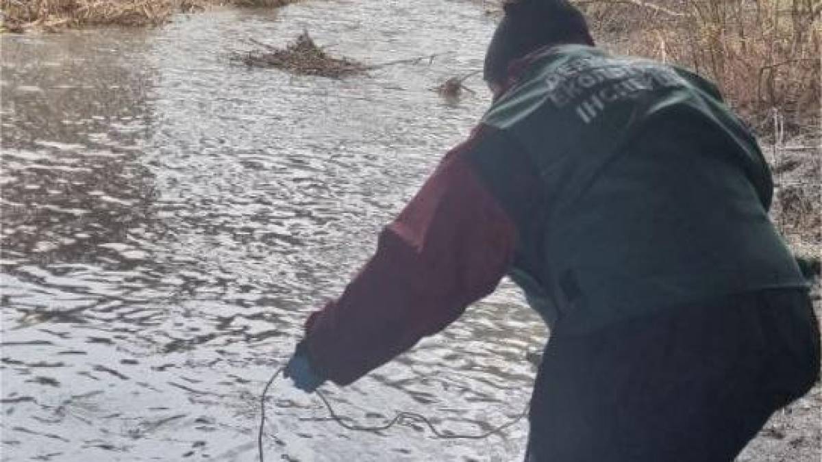 У річці Запоріжжя зафіксували аномальне забруднення