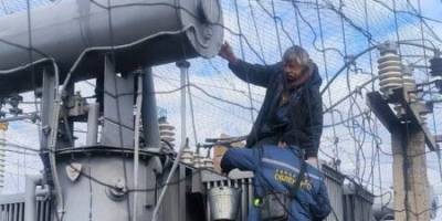 Незламні запорізькі енергетики відновлюють світло за будь-яких умов