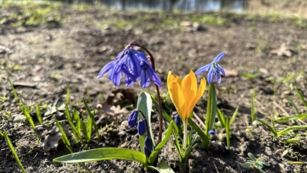 Україні прогнозують теплу неділю з невеликою хмарністю