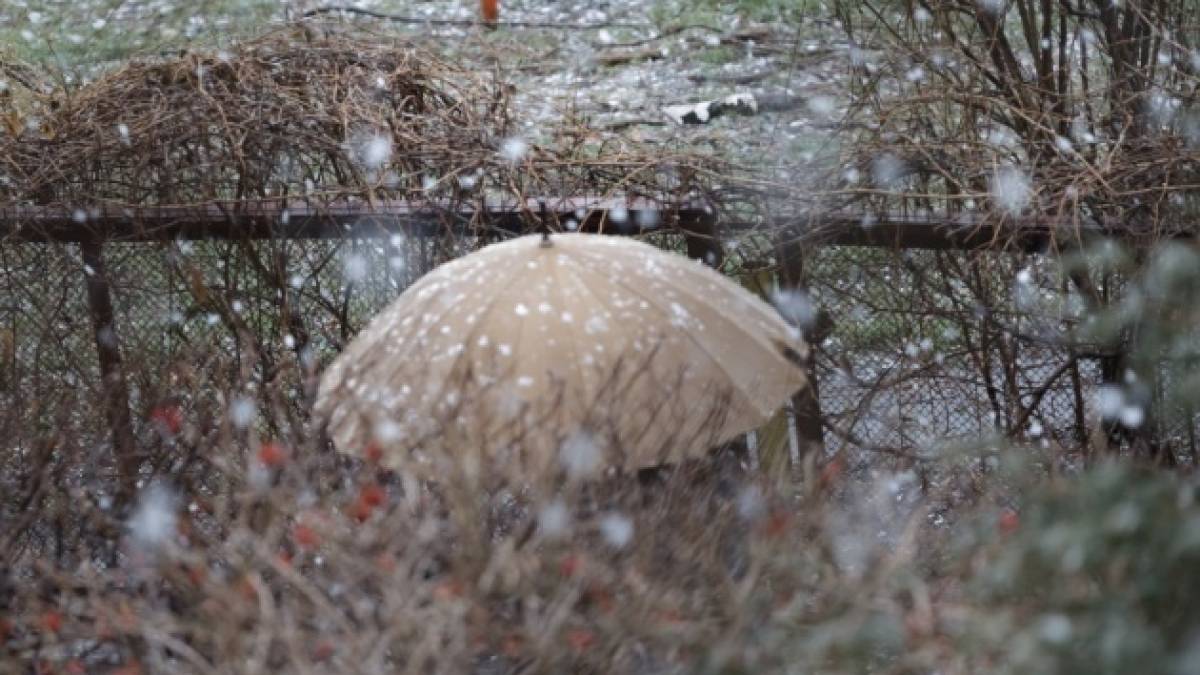 Четвер буде з дощем та мокрим снігом, вдень до +13°