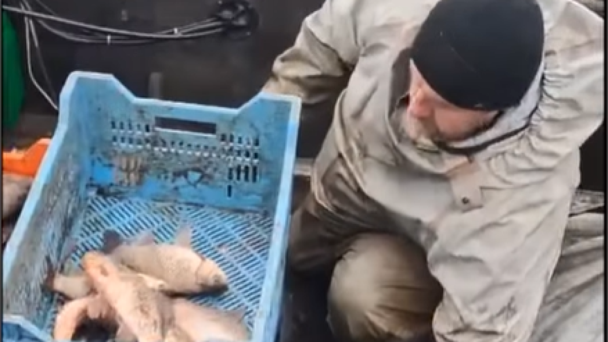 На Дніпровському водосховищі перевірили «промислових рибалок»