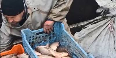 У Запоріжжі виявили порушення при проведенні промислового вилову риби