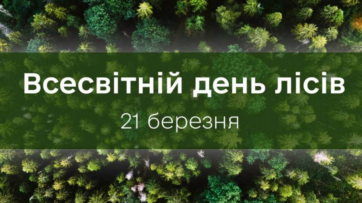 21 березня — Міжнародний день лісів