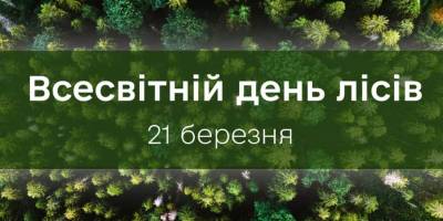 21 березня — Міжнародний день лісів