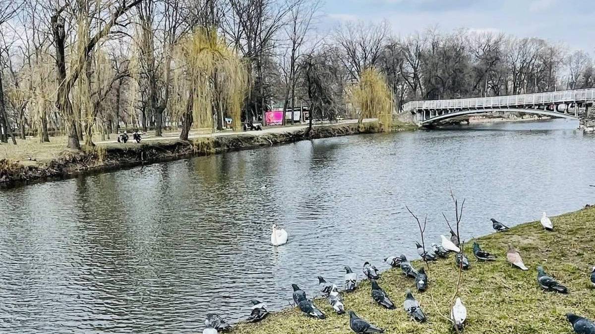 Погода у Запоріжжі 21-22 березня: детальний прогноз синоптиків