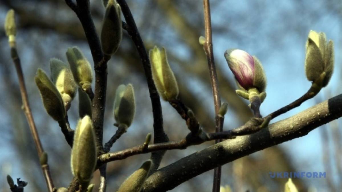 Сьогодні в Україні вдень – до 16° тепла, місцями дощ