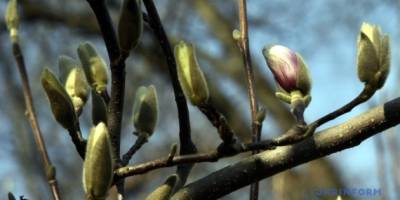 Сьогодні в Україні вдень – до 16° тепла, місцями дощ