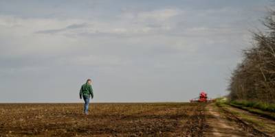 У 17 областях України вже стартувала посівна