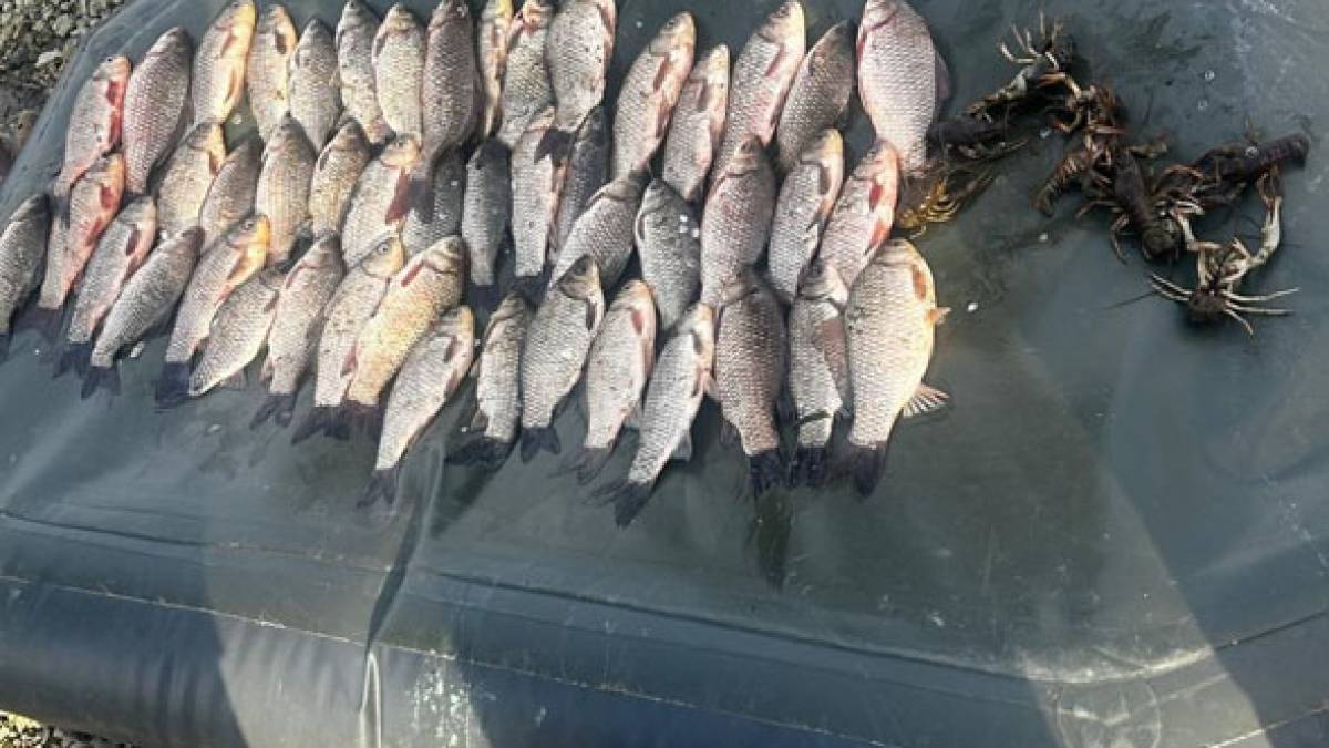 На Дніпровському водосховищі затримали бракон’єра-риболова
