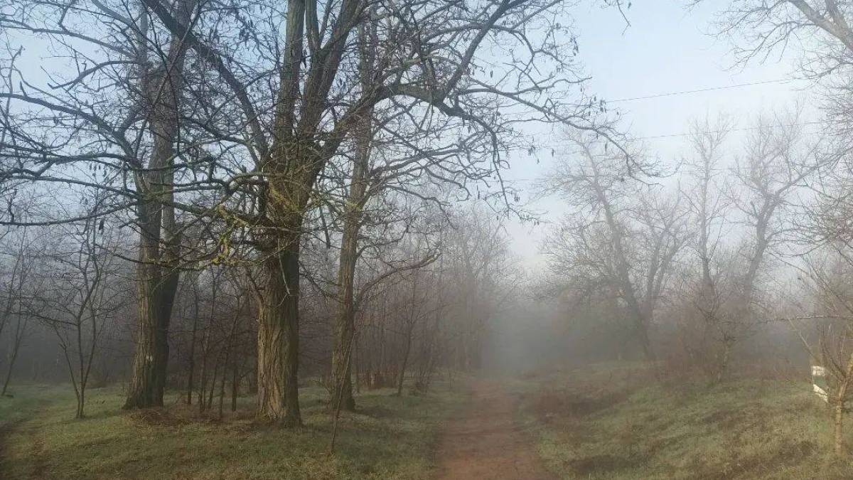 Погода у Запоріжжі 28-29 березня: детальний прогноз синоптиків