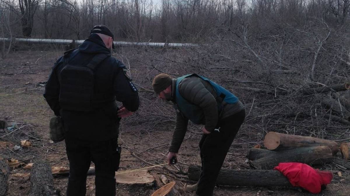 Незаконна вирубка у Шевченківському районі: інспекція та поліція діють спільно