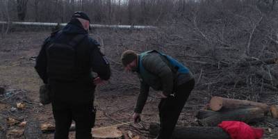 Незаконна вирубка у Шевченківському районі: інспекція та поліція діють спільно