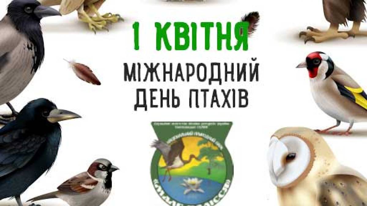1 квітня — Міжнародний день птахів