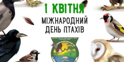 1 квітня — Міжнародний день птахів