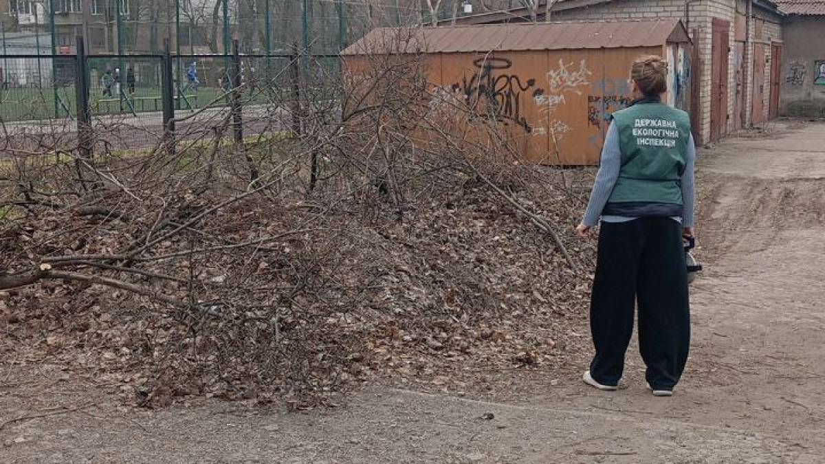 Поблизу гаражів у Запоріжжі зафіксовано засмічення території