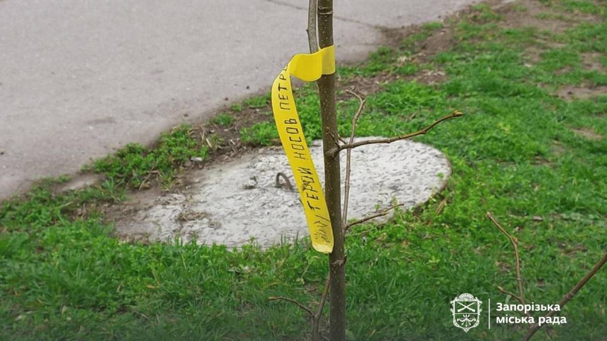  У Запоріжжі висадили липи на честь бійців полку «Азов»