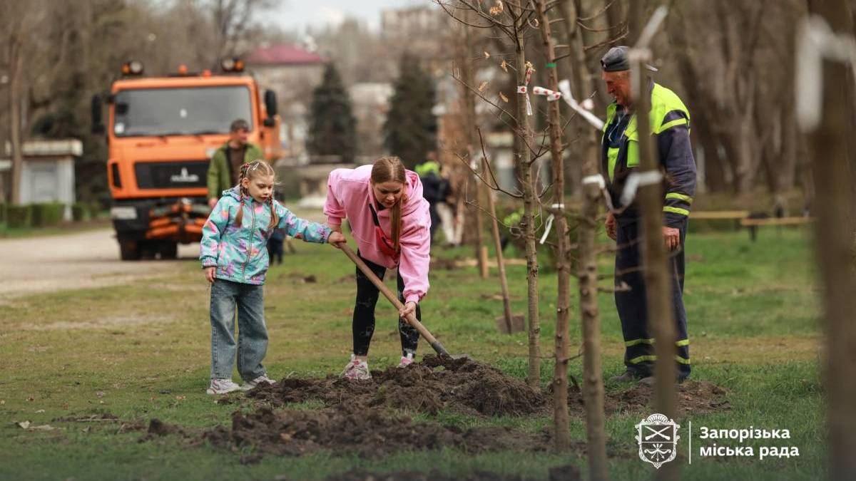 У Дубовому гаю у Запоріжжі висадили 100 молодих дубів (фото)