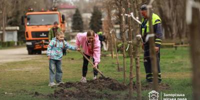 У Дубовому гаю у Запоріжжі висадили 100 молодих дубів (фото)