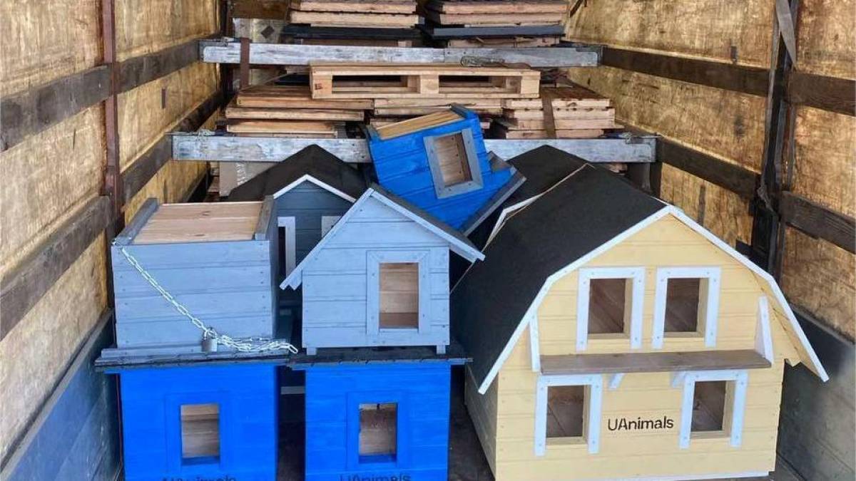 На Запоріжжі зоозахисники встановлюють будиночки для безхатніх котів і собак (відео)