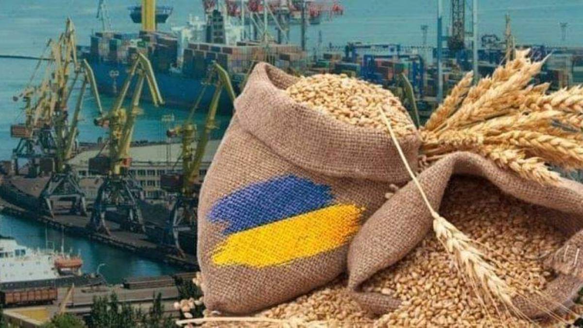 Єгипет більше не імпортуватиме російське зерно з окупованих територій
