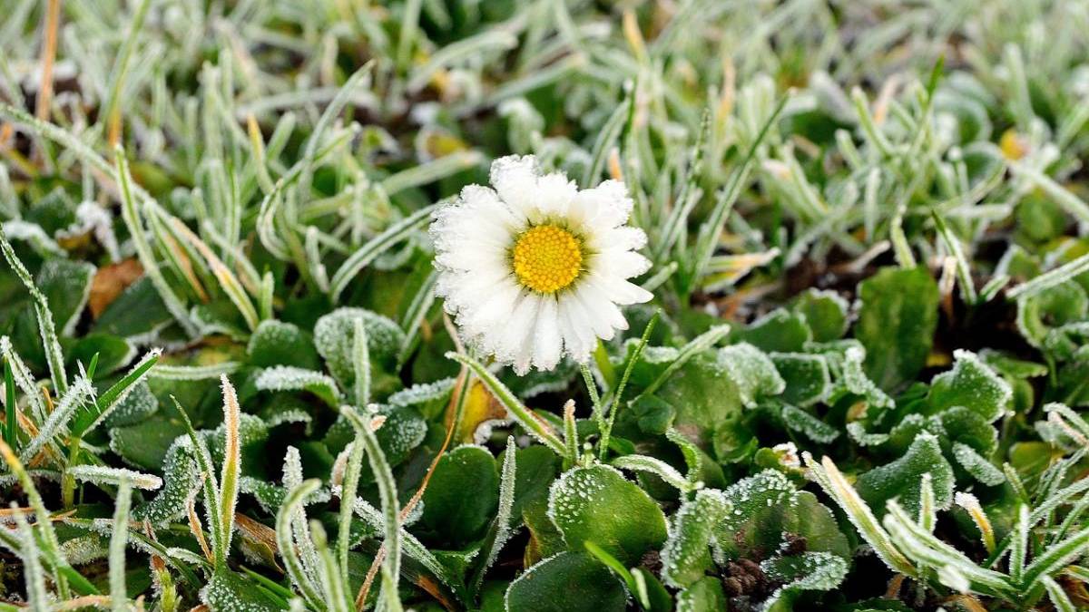 Сьогодні в Україні  до +9° та незначний дощ
