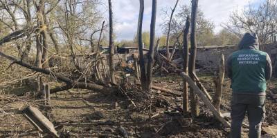 Екологи зафіксували наслідки нічного удару у Космічному районі