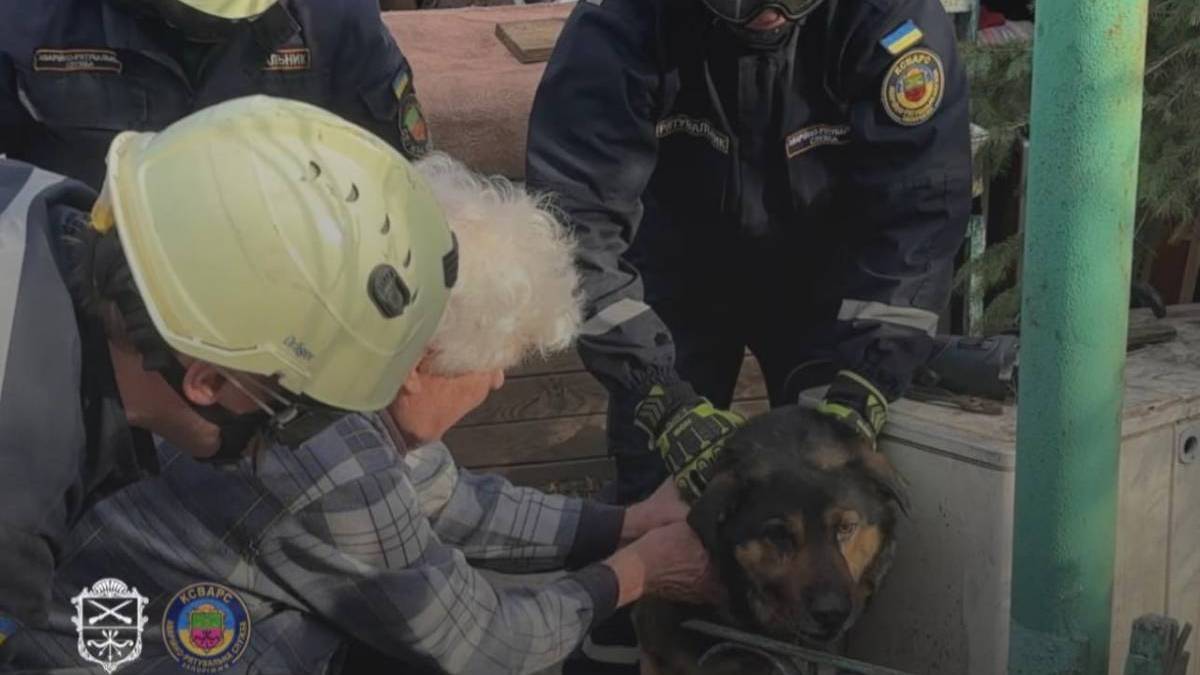 У Запоріжжі врятували песика, який застряг у паркані (фото)