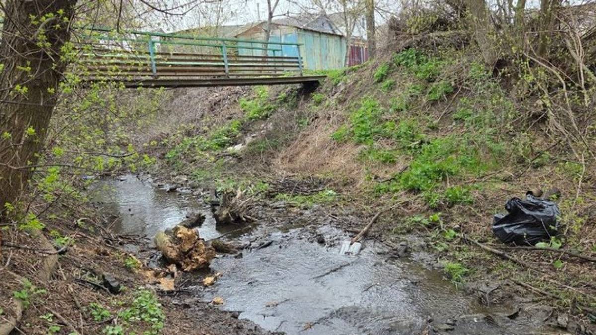 Як відновити річку Верхня Хортиця в Запоріжжі