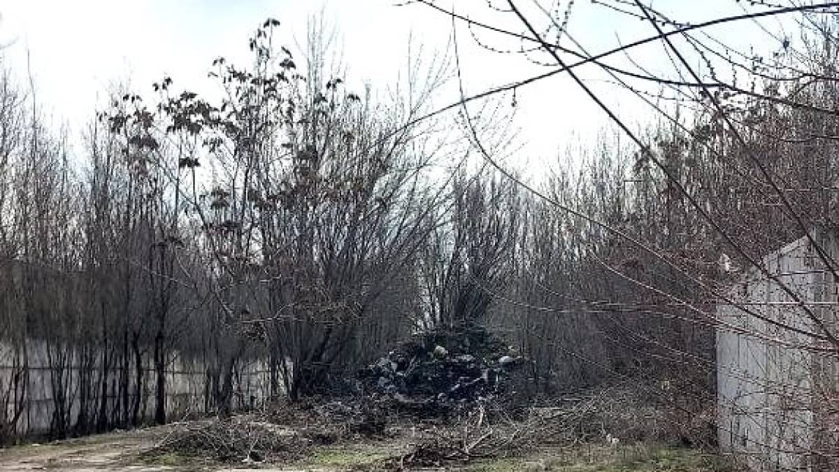 Несанкціоноване сміттєзвалище у промисловій зоні Запоріжжя