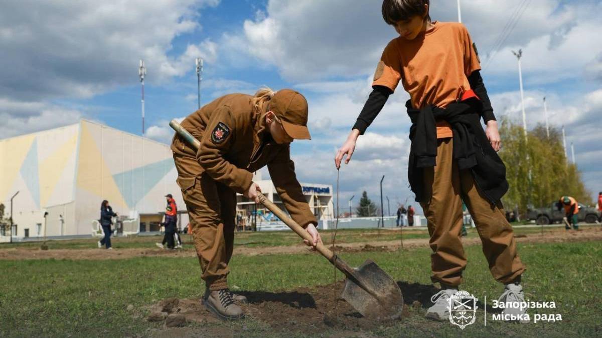 Замість пустиря — зелена зона: у спальному районі Запоріжжя висадили дерева