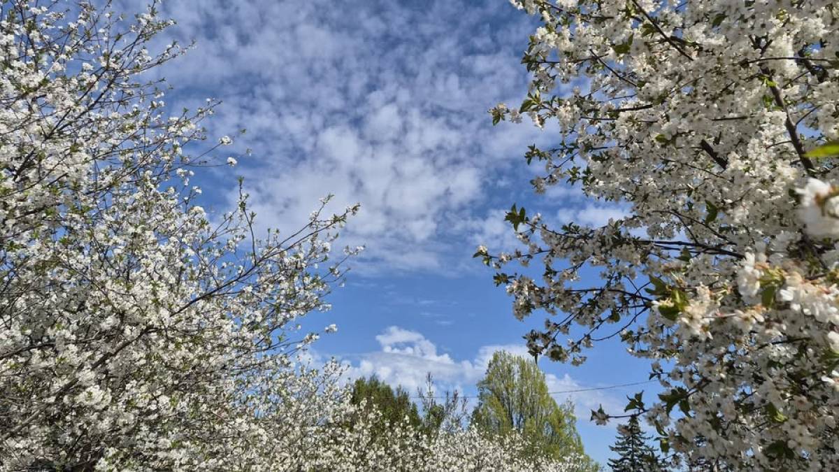 Чого чекати від погоди 18–19 квітня: прогноз для Запоріжжя
