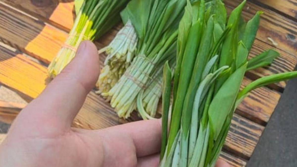 У Запоріжжі ловлять продавців черемші: що загрожує порушникам