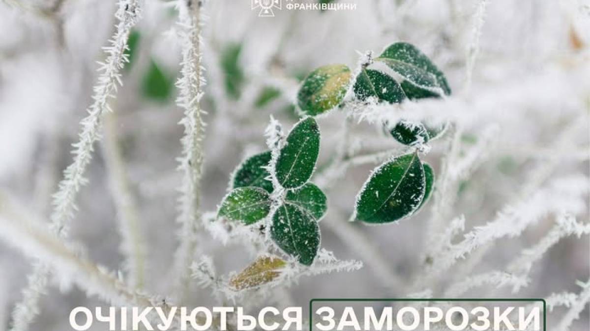 Укргідрометцентр попередив про можливі заморозки на поверхні ґрунту 20 квітня