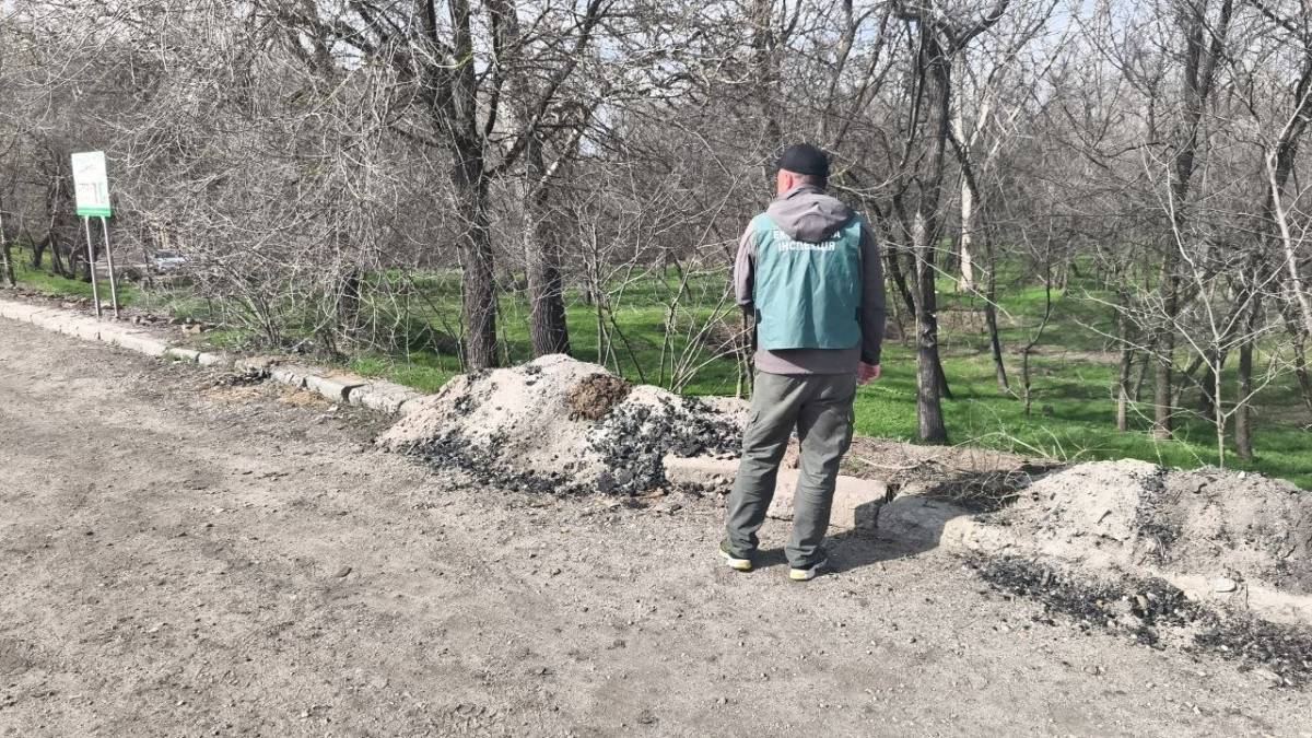 Сміття просто на вулиці: у Запоріжжі зафіксували засмічення території