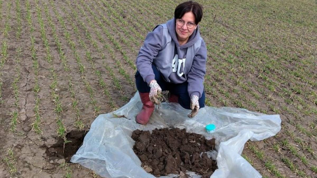 В Запорізькій області провели фітосанітарний моніторинг сільгоспугідь