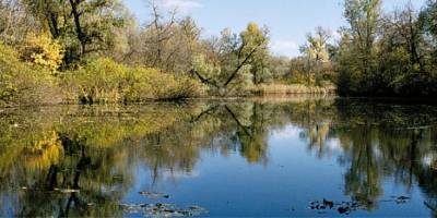 Унікальні пам’ятки Хортиці визнали на державному рівні