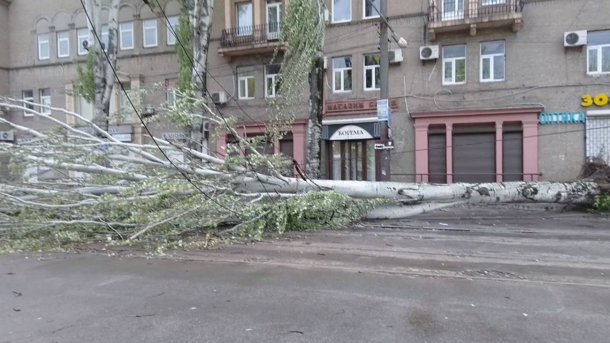 У Запоріжжі через падіння дерев обмежено рух транспорту на декількох вулицях