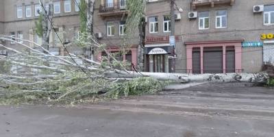 У Запоріжжі через падіння дерев обмежено рух транспорту на декількох вулицях