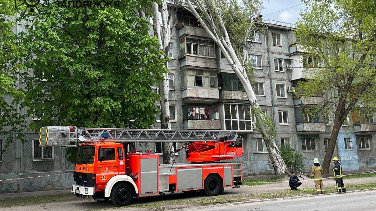 Рятувальники ДСНС розпилюють дерево після сильного вітру