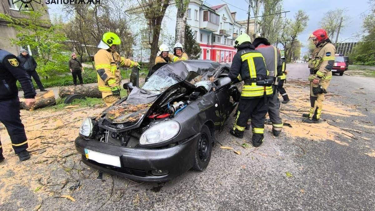 Дерево впало на автомобіль у Запоріжжі під час негоди