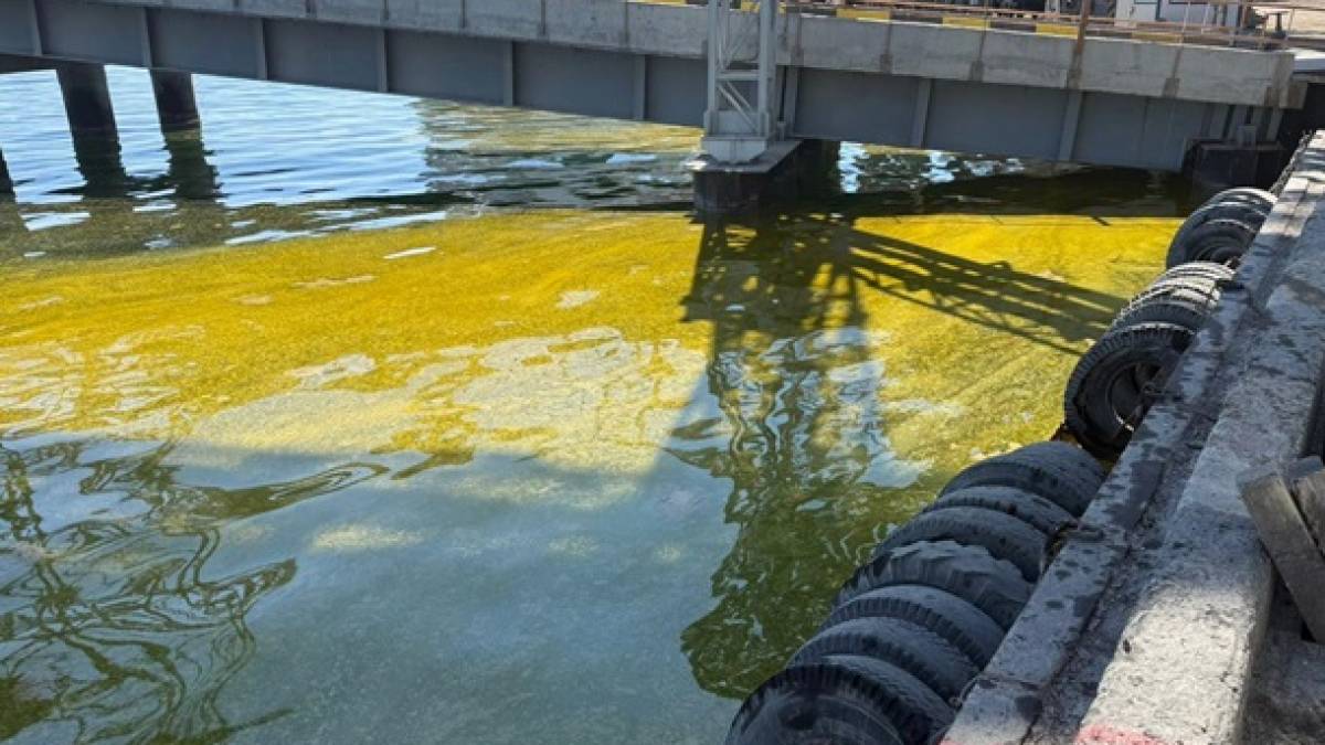 У порту Одещини в море потрапили тисячі тонн олії