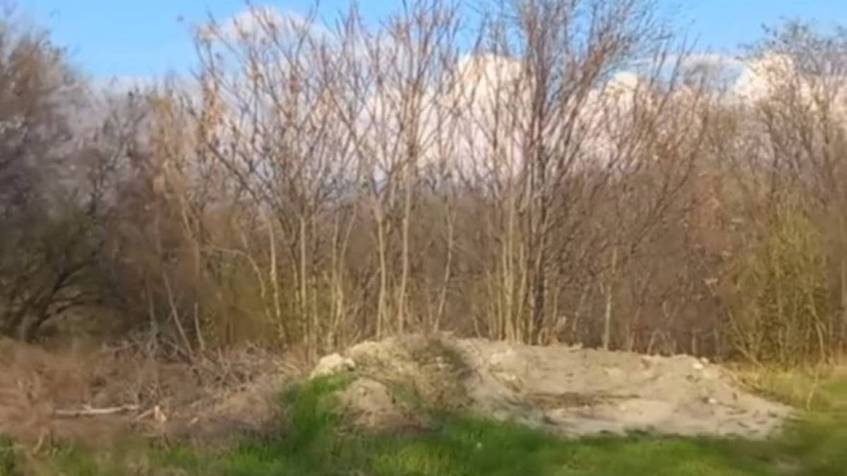 Несанкціоноване сміттєзвалище у Запорізькому районі