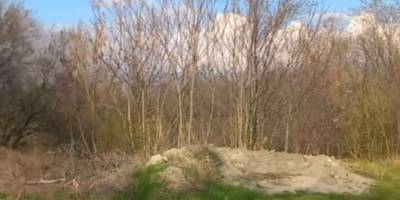 Несанкціоноване сміттєзвалище у Запорізькому районі